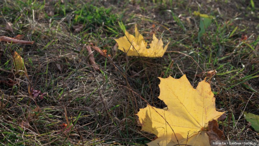 Желточек L'il Sister Doll By Eegee (фото 10)