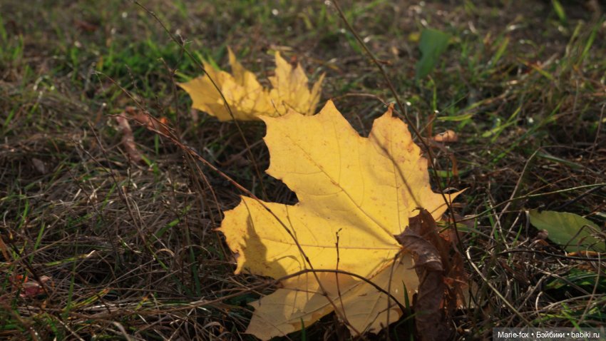 Желточек L'il Sister Doll By Eegee (фото 7)