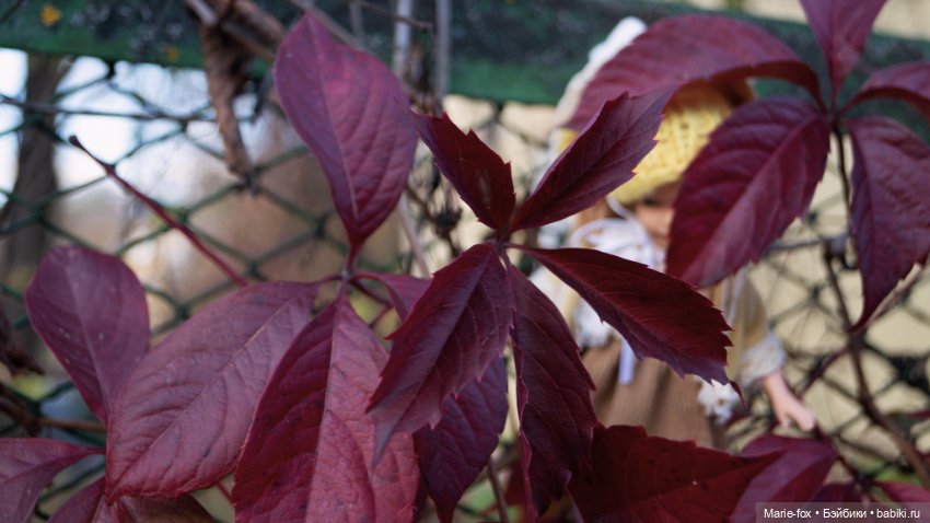 Желточек L'il Sister Doll By Eegee