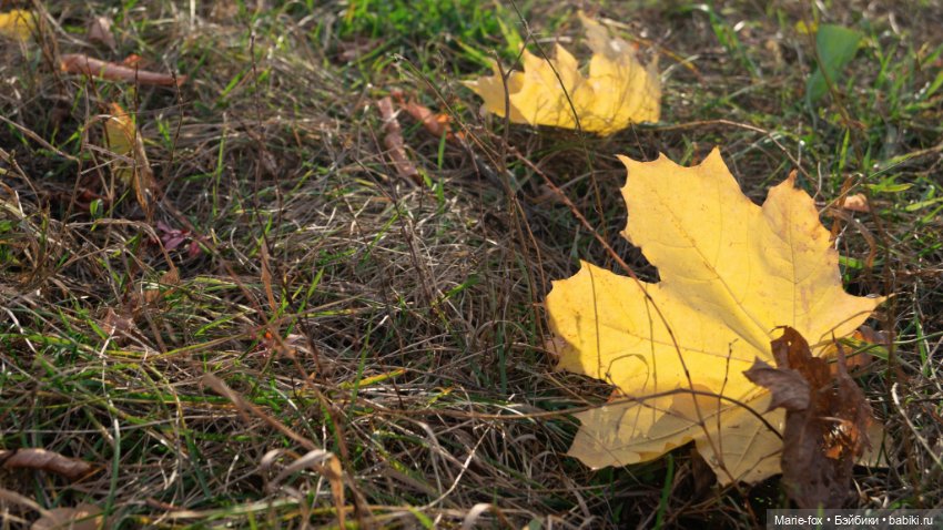 Желточек L'il Sister Doll By Eegee (фото 2)