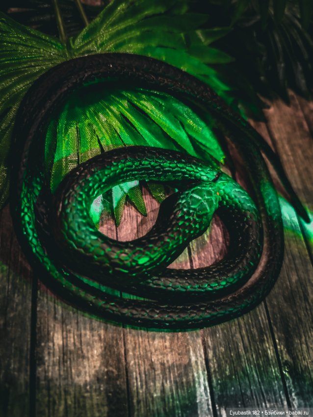 Змеиное — Куклы Phicen (TBLeague/Фицен): бесшовные тела (фото 8)