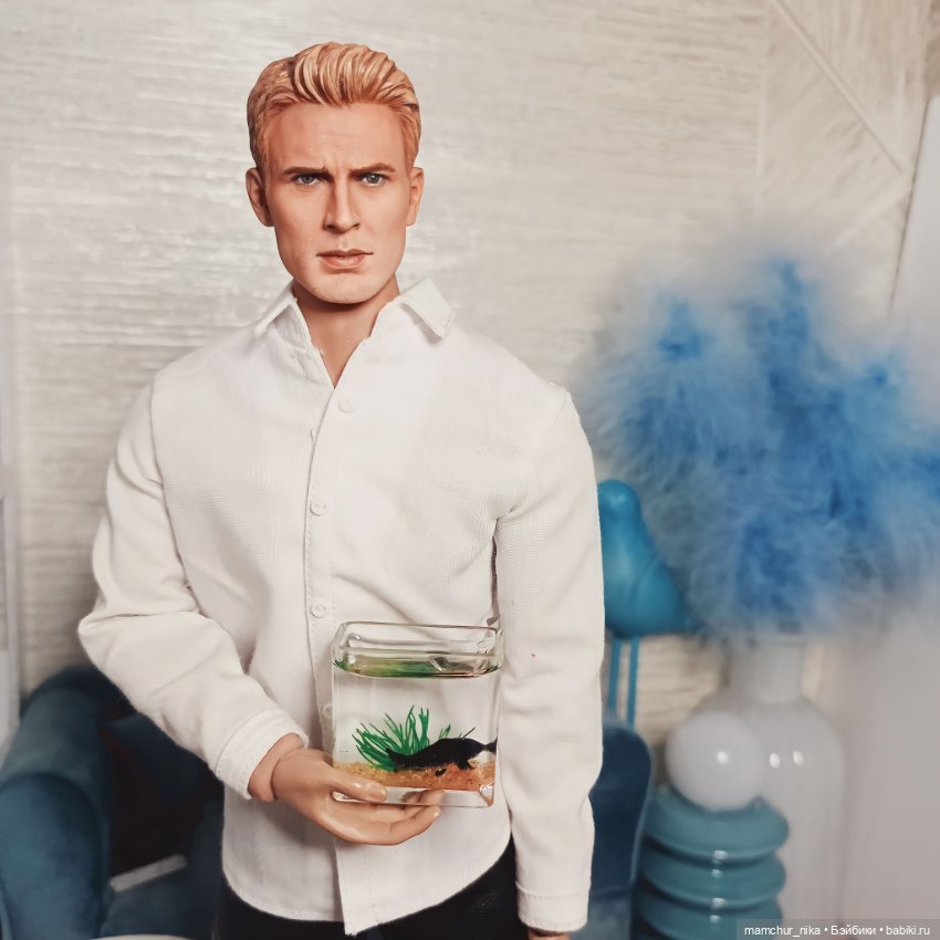 Подарок Дэна для Лизи 🍂🎁 — Куклы Phicen (TBLeague/Фицен): бесшовные тела