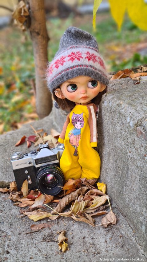 Бабье лето — Куклы Blythe (Блайз) ООАК: кастом