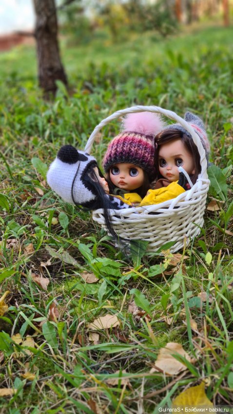 Бабье лето — Куклы Blythe (Блайз) ООАК: кастом