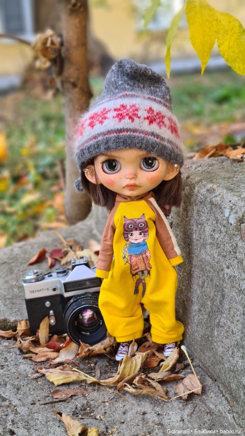 Бабье лето — Куклы Blythe (Блайз) ООАК: кастом