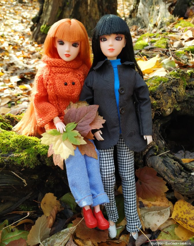 Приезд брата-близнеца — Аналоги Барби и куклы 1/6: клоны 90