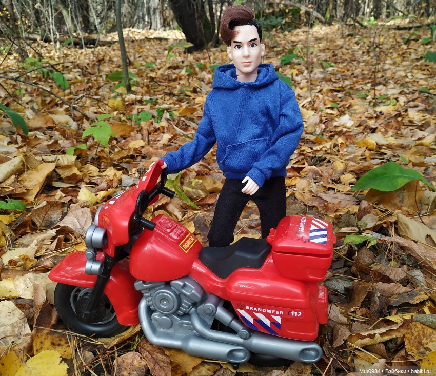 Приезд брата-близнеца — Аналоги Барби и куклы 1/6: клоны 90 (фото 8)