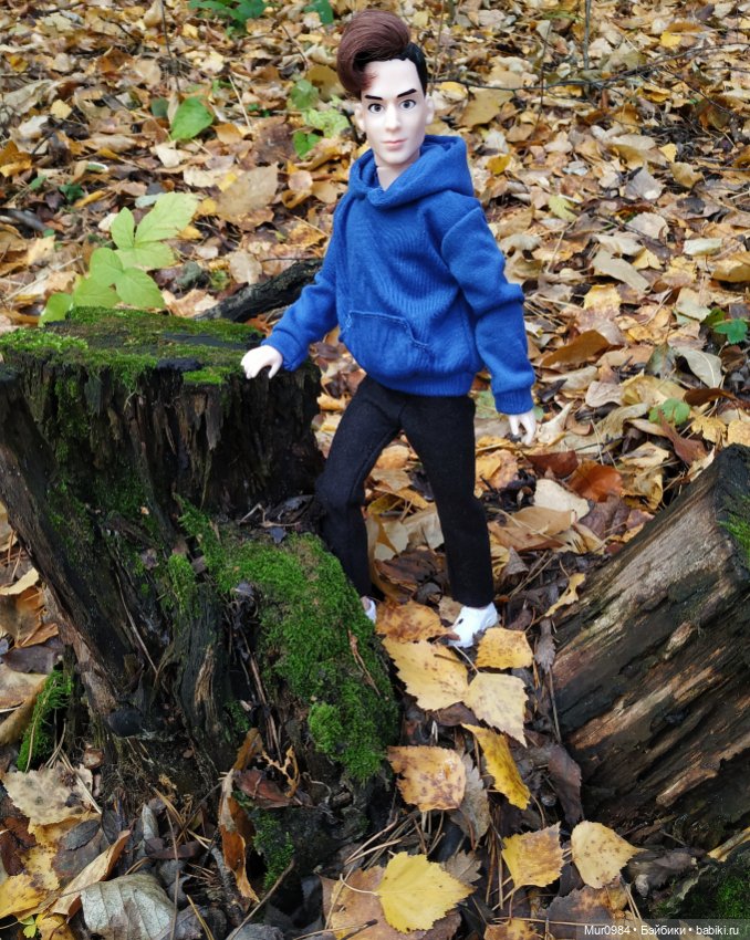 Приезд брата-близнеца — Аналоги Барби и куклы 1/6: клоны 90 (фото 5)