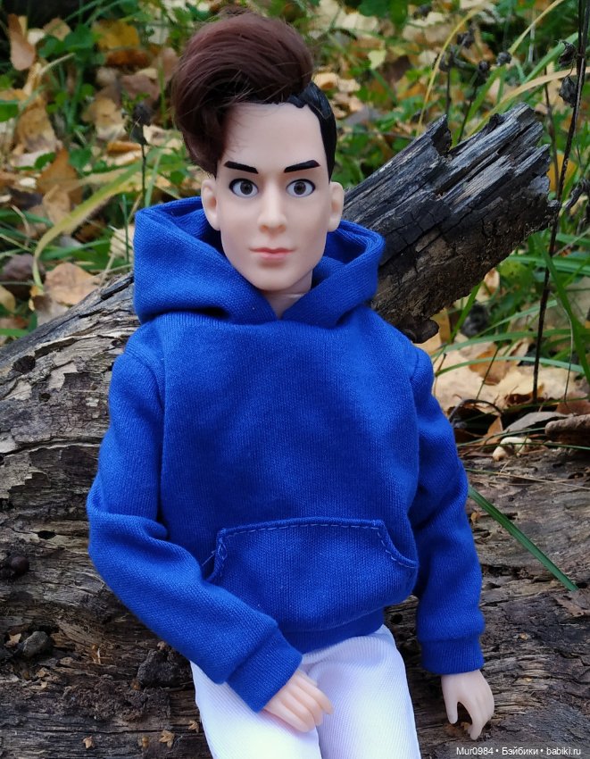 Приезд брата-близнеца — Аналоги Барби и куклы 1/6: клоны 90 (фото 4)