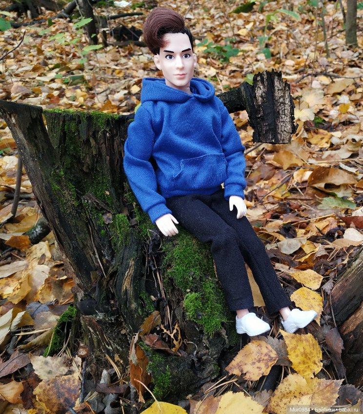 Приезд брата-близнеца — Аналоги Барби и куклы 1/6: клоны 90 (фото 6)