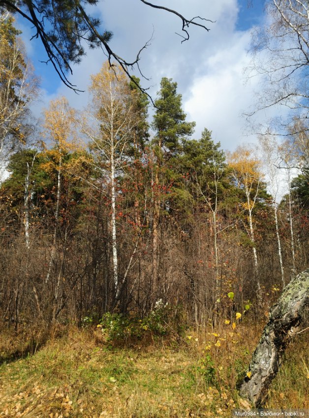 Приезд брата-близнеца — Аналоги Барби и куклы 1/6: клоны 90