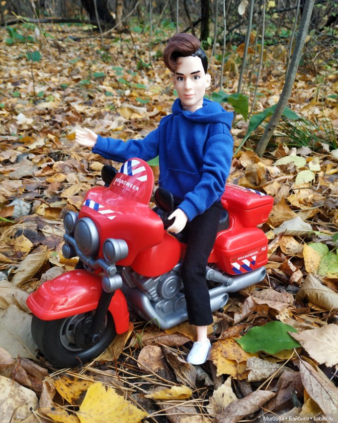 Приезд брата-близнеца — Аналоги Барби и куклы 1/6: клоны 90 (фото 9)