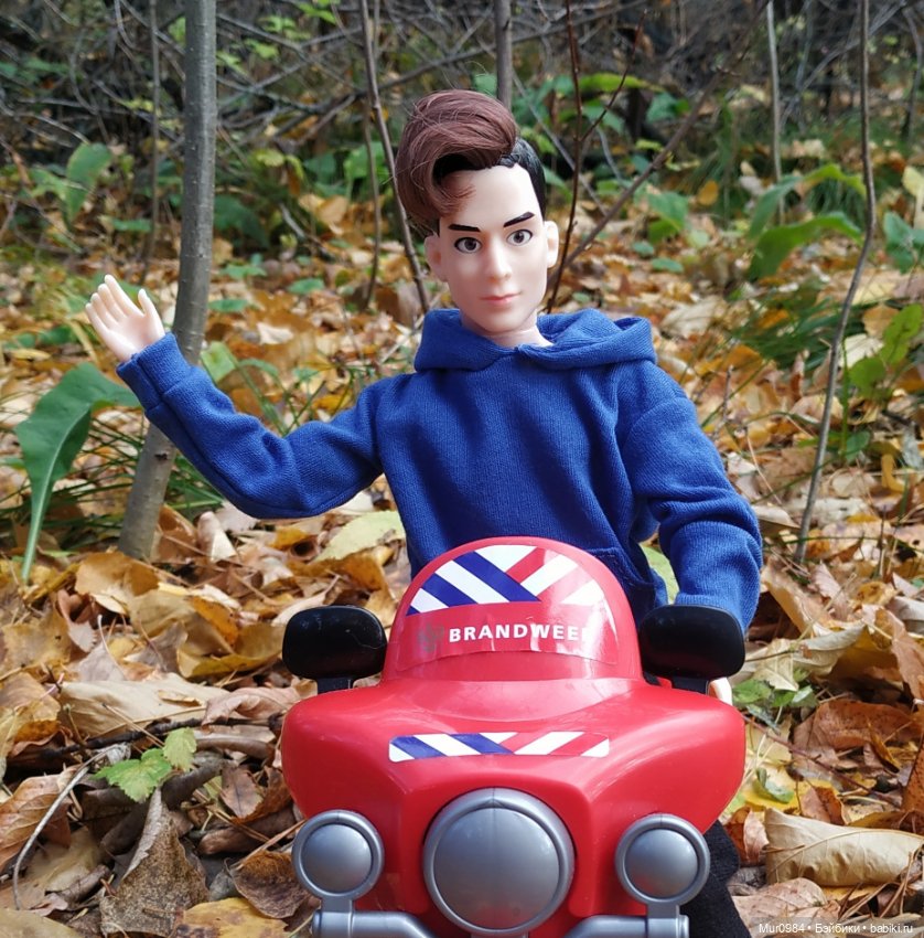 Приезд брата-близнеца — Аналоги Барби и куклы 1/6: клоны 90 (фото 10)