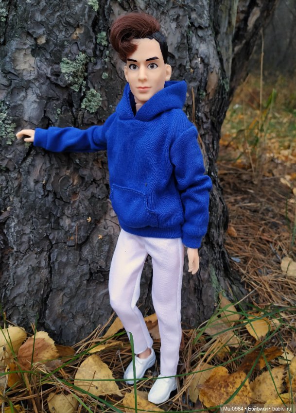 Приезд брата-близнеца — Аналоги Барби и куклы 1/6: клоны 90