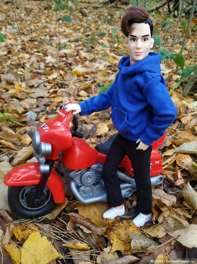 Приезд брата-близнеца — Аналоги Барби и куклы 1/6: клоны 90 (фото 7)