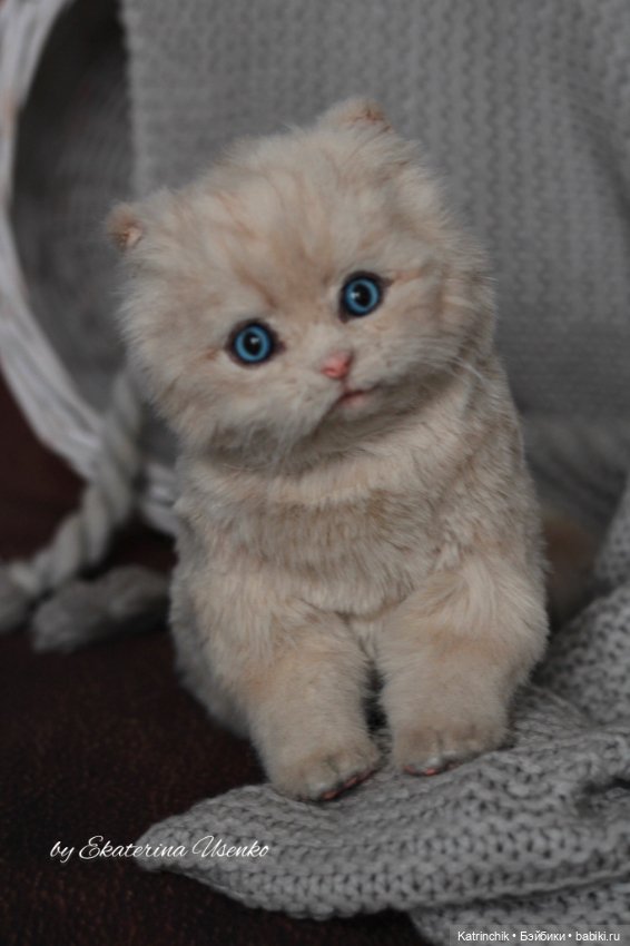 Котенок-пухляшка Ева — Авторские игрушки из разных материалов: синельная проволока (фото 5)