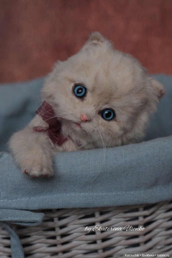 Котенок-пухляшка Ева — Авторские игрушки из разных материалов: синельная проволока