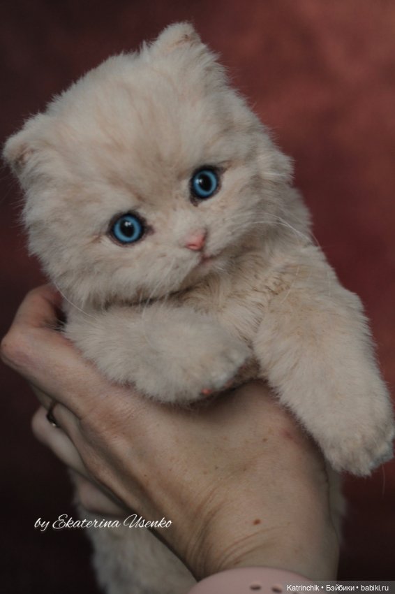 Котенок-пухляшка Ева — Авторские игрушки из разных материалов: синельная проволока (фото 2)