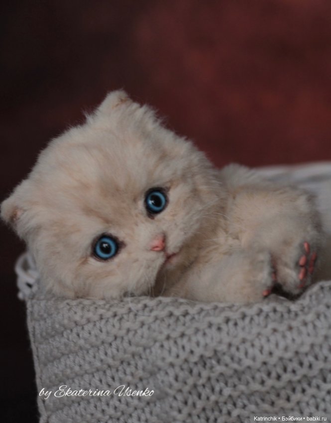 Котенок-пухляшка Ева — Авторские игрушки из разных материалов: синельная проволока