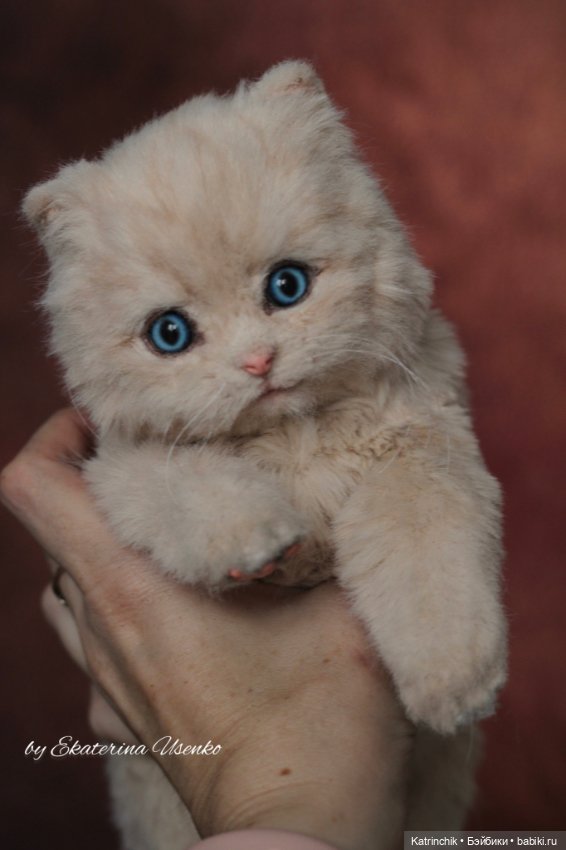 Котенок-пухляшка Ева — Авторские игрушки из разных материалов: синельная проволока (фото 3)