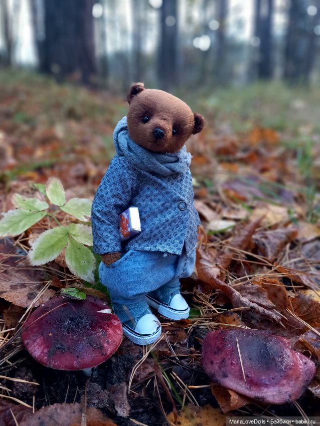 Встреча в лесу — Куклы Ruby Red (Руби Ред) Fashion Friends: Siblies (фото 5)