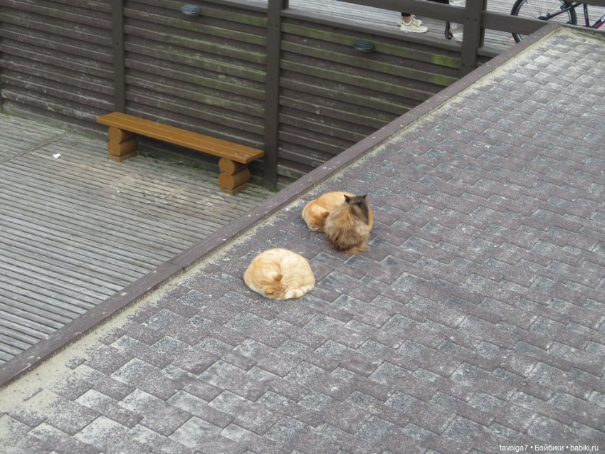 Trinity Dolls в Зеленоградске. Вечер