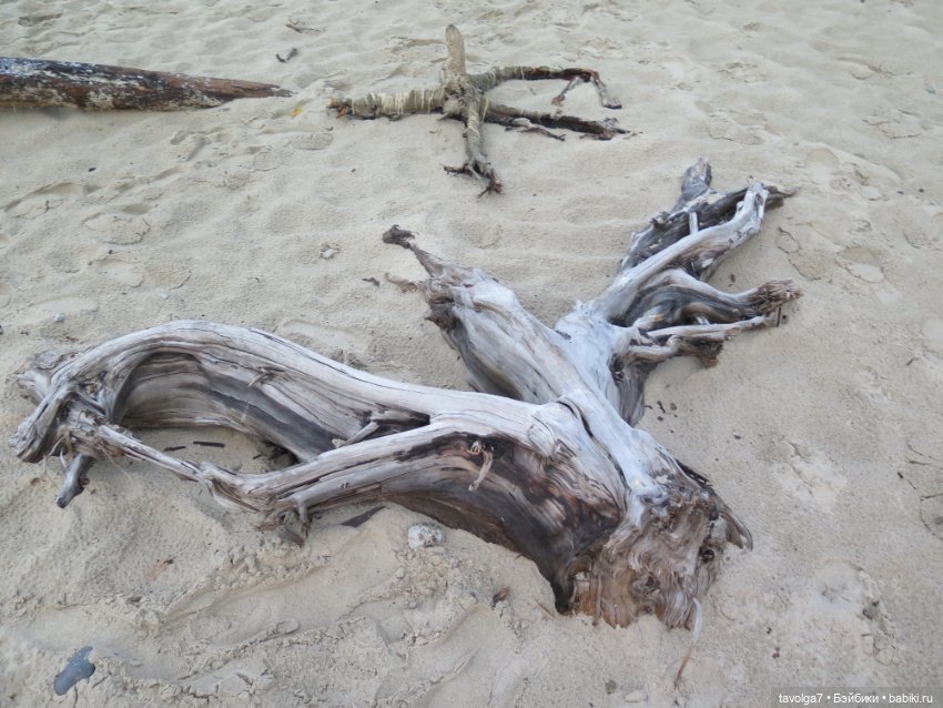 Trinity Dolls в Зеленоградске. Вечер