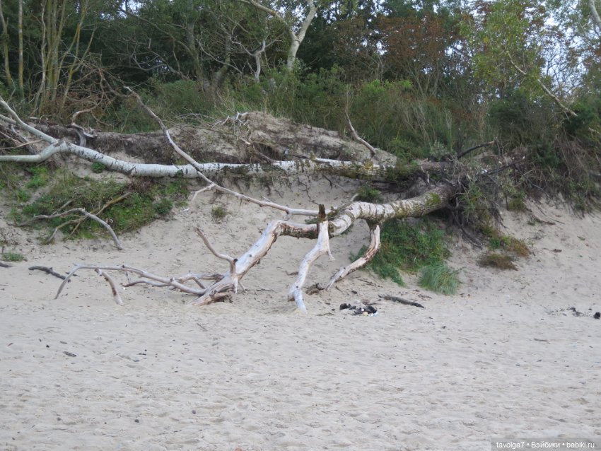 Trinity Dolls в Зеленоградске. Вечер