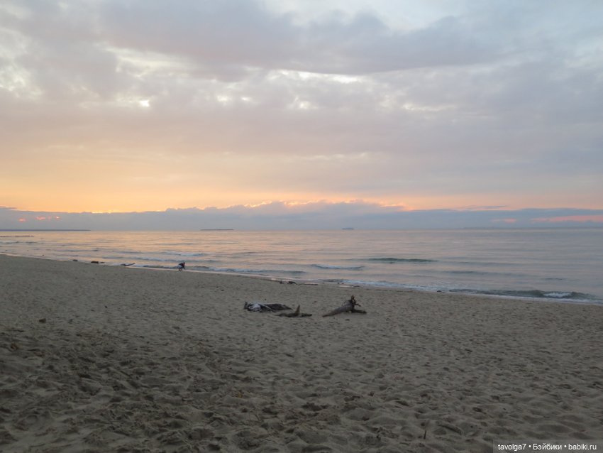 Trinity Dolls в Зеленоградске. Вечер