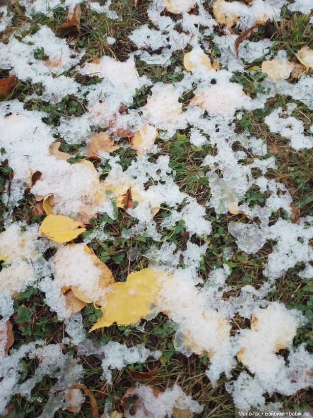 Снежная осень — Фигурки Киндер Сюрприз (Kinder) (фото 5)