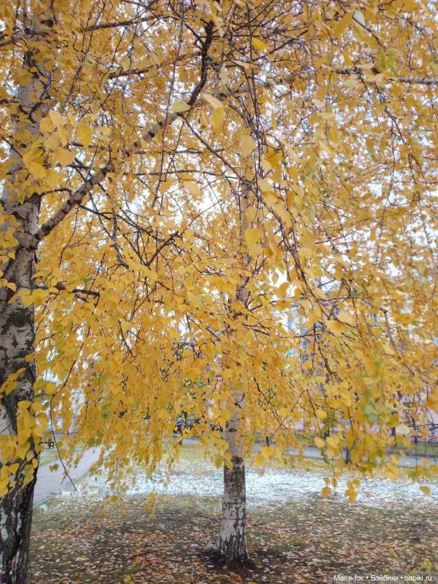 Снежная осень — Фигурки Киндер Сюрприз (Kinder)