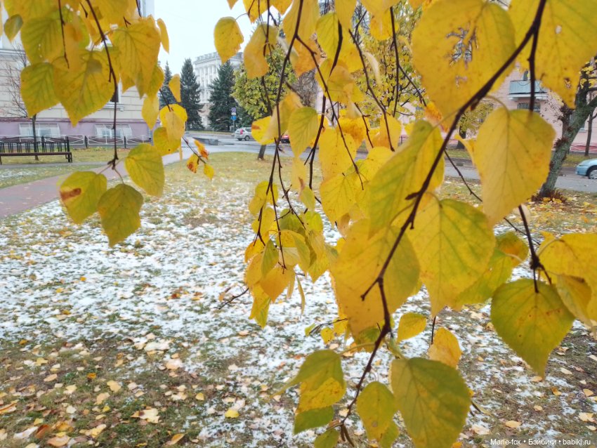 Снежная осень — Фигурки Киндер Сюрприз (Kinder) (фото 2)
