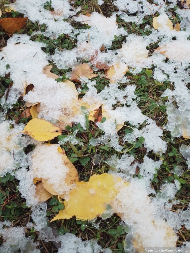 Снежная осень — Фигурки Киндер Сюрприз (Kinder) (фото 4)