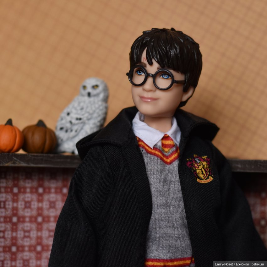 Гарри и его сова — Куклы Harry Potter (Гарри Поттер) Mattel: Wizarding World (фото 6)