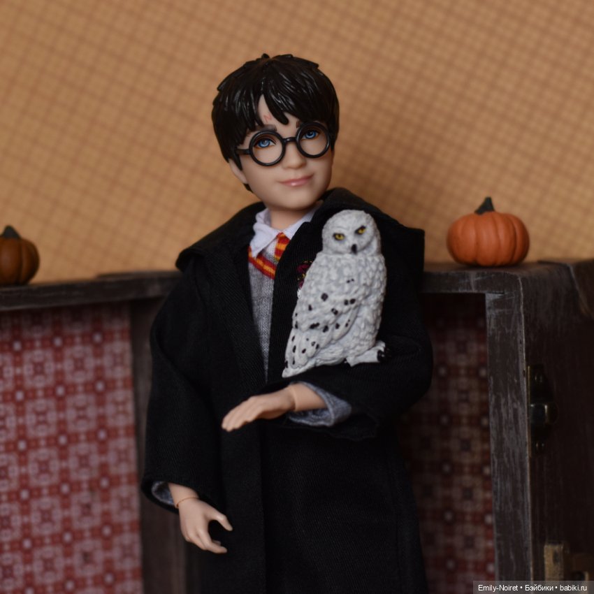 Гарри и его сова — Куклы Harry Potter (Гарри Поттер) Mattel: Wizarding World (фото 3)