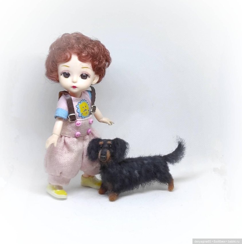 Мраморная длинношерстная такса (фото 3)