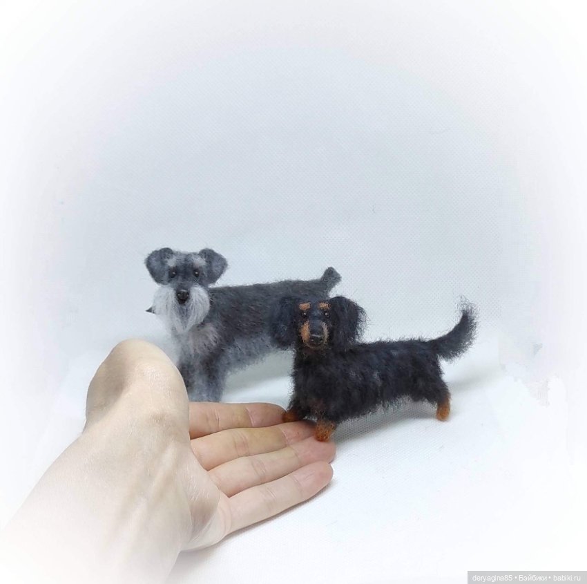 Мраморная длинношерстная такса (фото 2)