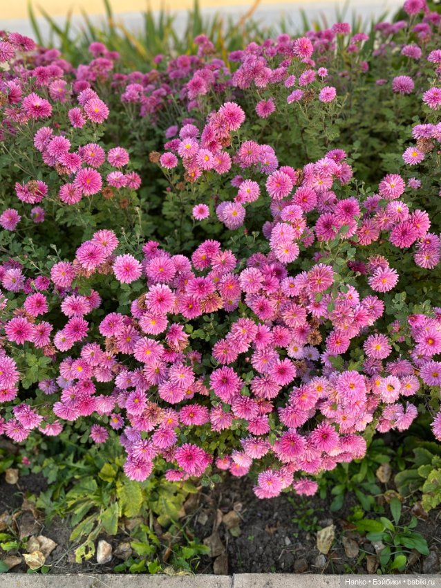 Простушки — Игровые куклы разных производителей (Разное): редкие бренды (фото 7)