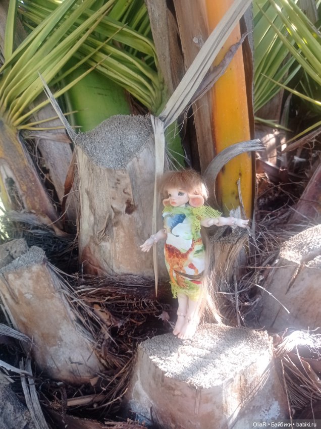 Индоутки и Богомол или Путешествие Мышуни по Орнитологическому парку в Адлере (Сириус) (фото 4)