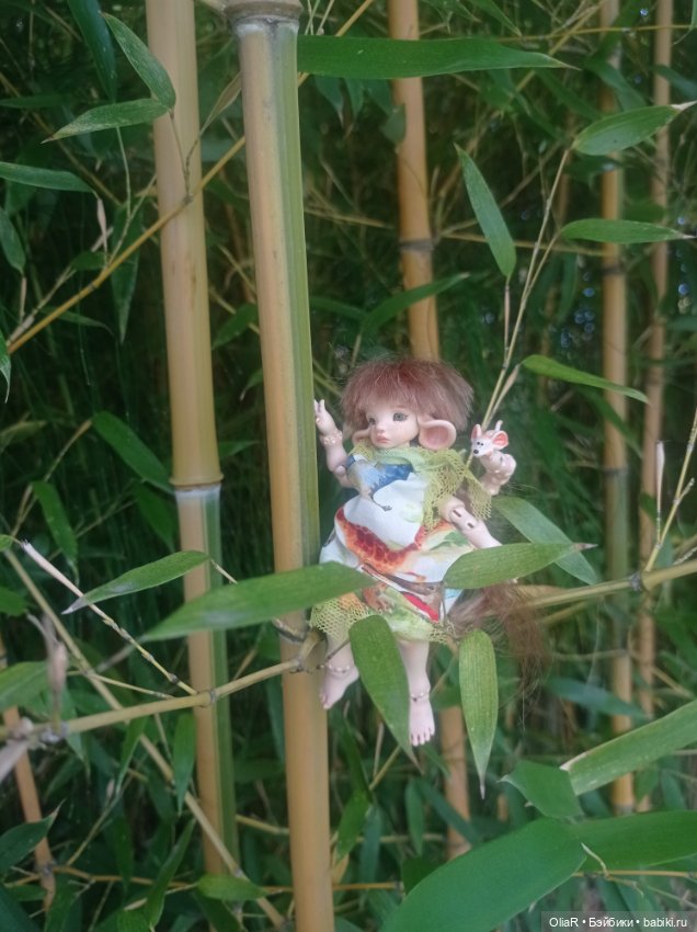 Индоутки и Богомол или Путешествие Мышуни по Орнитологическому парку в Адлере (Сириус)