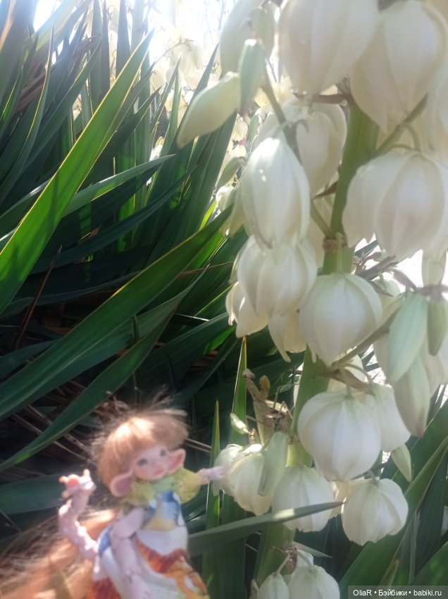 Индоутки и Богомол или Путешествие Мышуни по Орнитологическому парку в Адлере (Сириус)