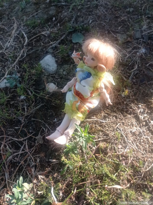 Индоутки и Богомол или Путешествие Мышуни по Орнитологическому парку в Адлере (Сириус) (фото 8)