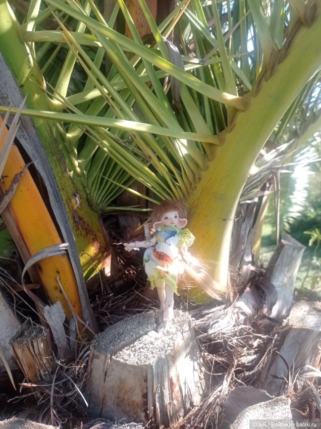 Индоутки и Богомол или Путешествие Мышуни по Орнитологическому парку в Адлере (Сириус)