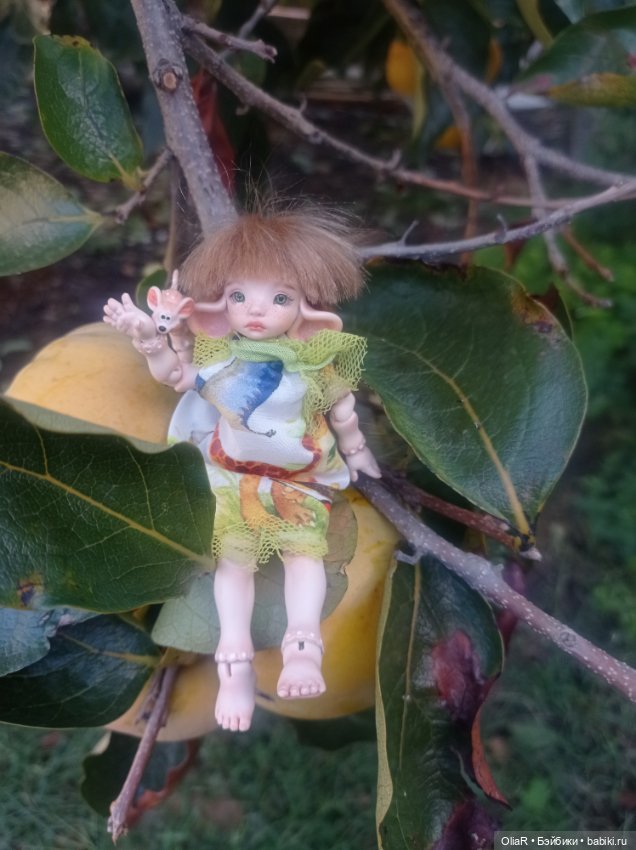 Индоутки и Богомол или Путешествие Мышуни по Орнитологическому парку в Адлере (Сириус)