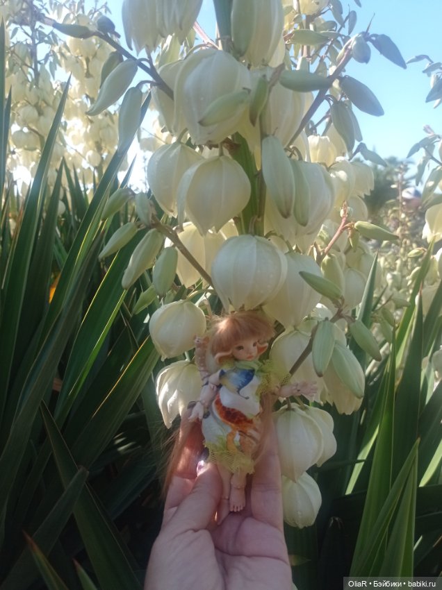 Индоутки и Богомол или Путешествие Мышуни по Орнитологическому парку в Адлере (Сириус) (фото 9)