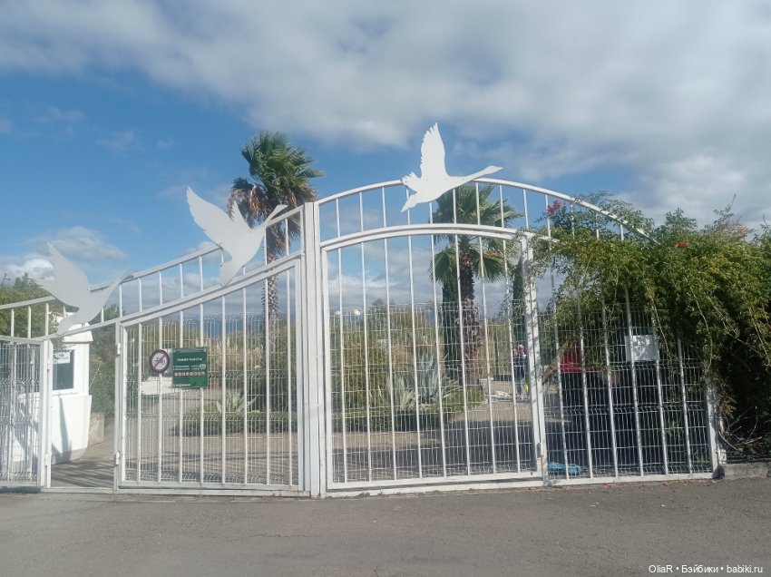 Индоутки и Богомол или Путешествие Мышуни по Орнитологическому парку в Адлере (Сириус)