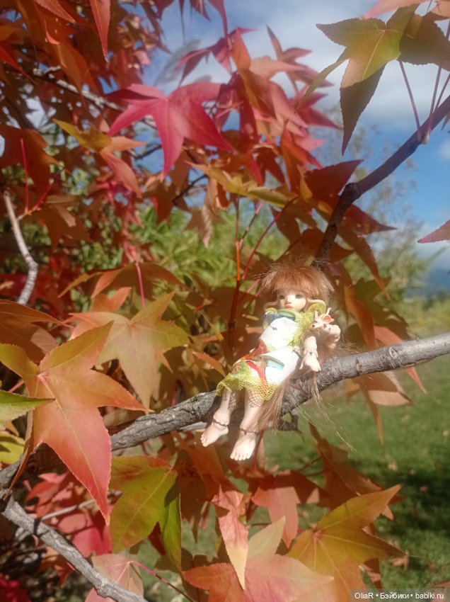 Индоутки и Богомол или Путешествие Мышуни по Орнитологическому парку в Адлере (Сириус)