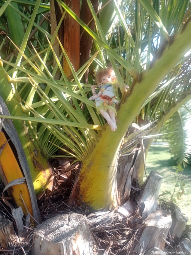 Индоутки и Богомол или Путешествие Мышуни по Орнитологическому парку в Адлере (Сириус) (фото 3)