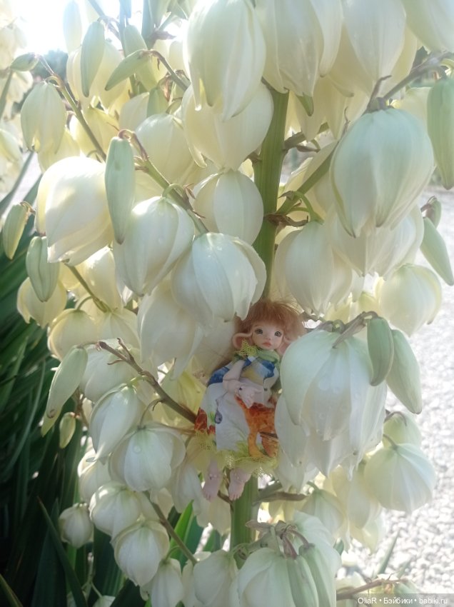 Индоутки и Богомол или Путешествие Мышуни по Орнитологическому парку в Адлере (Сириус) (фото 10)