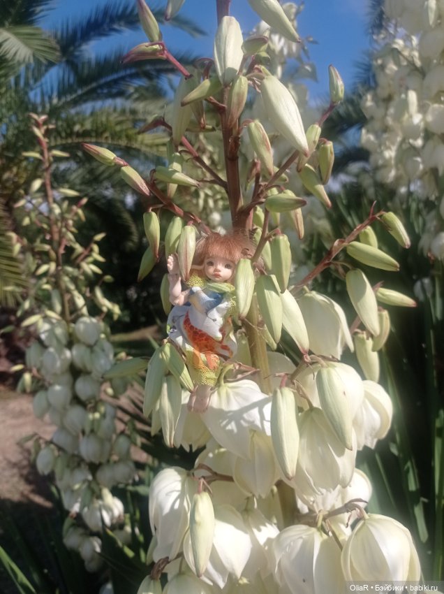 Индоутки и Богомол или Путешествие Мышуни по Орнитологическому парку в Адлере (Сириус)